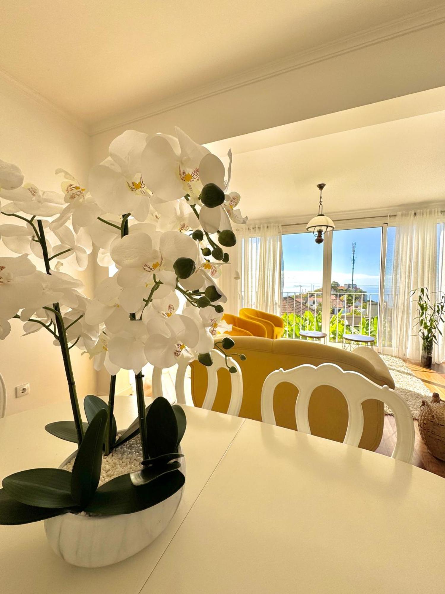 A Velha Casa Caboz Appartement Ponta do Sol  Buitenkant foto